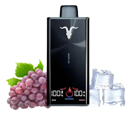 Ignite V300 GRAPE ICE
